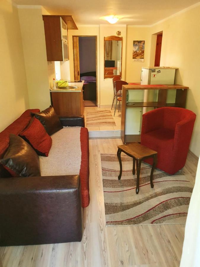 Apartman Sergej 2 ソコバニャ エクステリア 写真