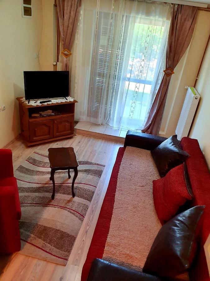 Apartman Sergej 2 ソコバニャ エクステリア 写真