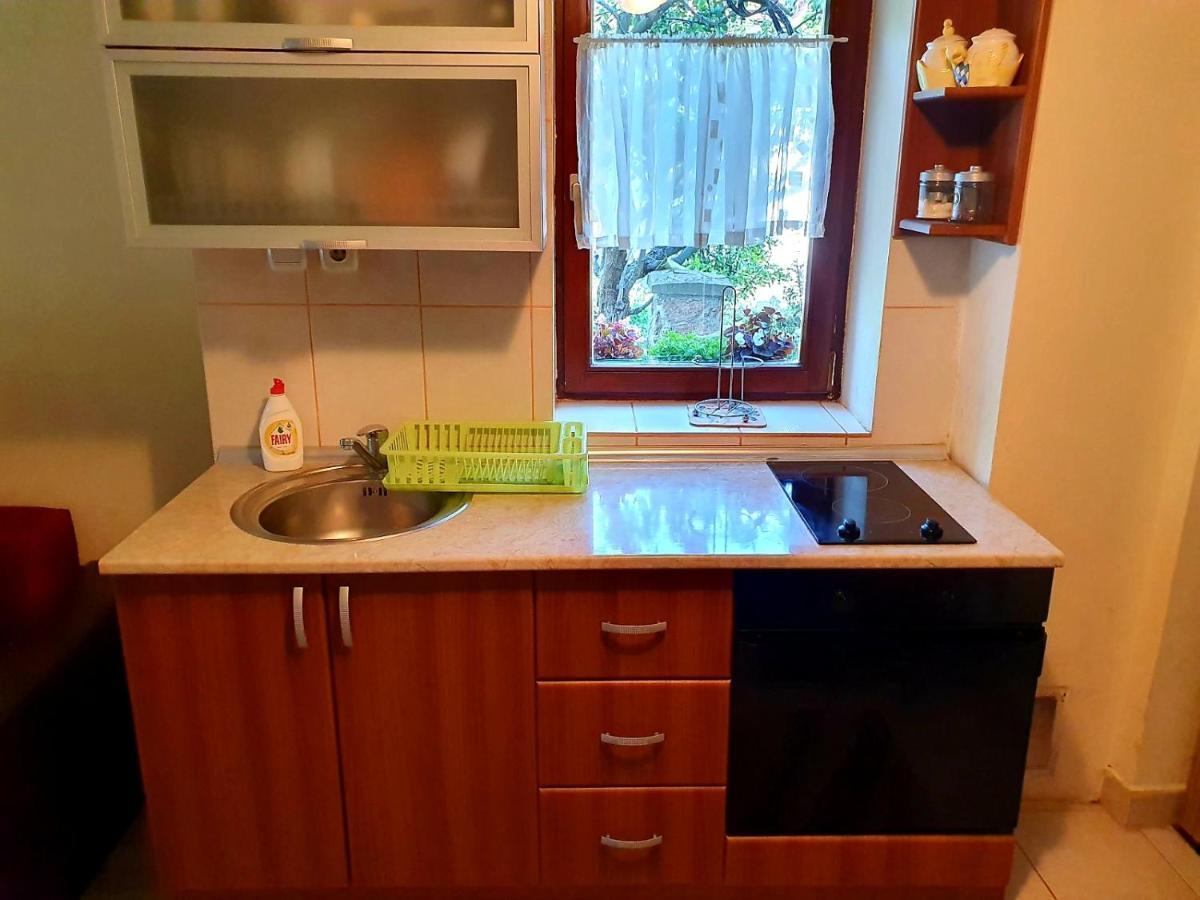 Apartman Sergej 2 ソコバニャ エクステリア 写真