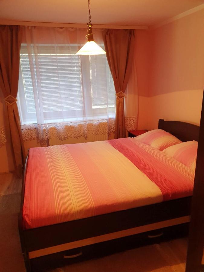Apartman Sergej 2 ソコバニャ エクステリア 写真